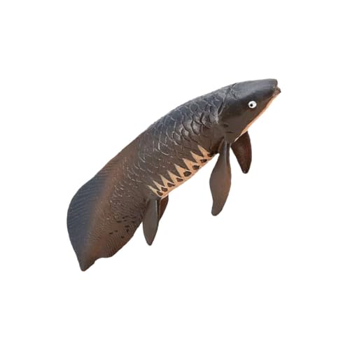 QUMIIRITY Simulation Fischmodell Lernspielzeug mit Realistischem Design Pädagogisches für Partys und Alltag Fördert Kreativität und Vorstellungskraft Leicht und Tragbar für Spielspaß QUMIIRITY Simulation Fischmodell Lernspielzeug mit Realistischem Design Pädagogisches für Partys und Alltag Fördert Kreativität und Vorstellungskraft Leicht und Tragbar für Spielspaß von QUMIIRITY
