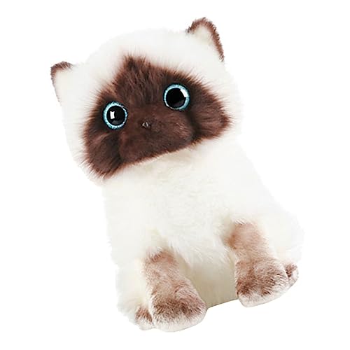 QUMIIRITY Süße Siamkatze Plüschspielzeug Kuscheldoll für Perfektes und Liebevolles für Mädchen und Jungen Niedliches Design für Warme von QUMIIRITY