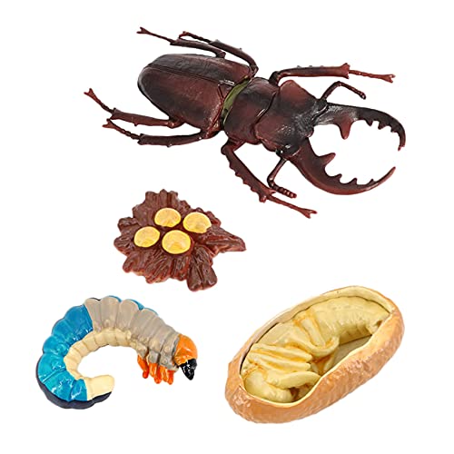 QUR Tier Lebens Zyklus, Tiere Wachstums Zyklus Lebens Zyklus Modell, Insekten Wachstums Zyklus Modell PäDagogisches Kinder Spielzeug G QUR Tier Lebens Zyklus, Tiere Wachstums Zyklus Lebens Zyklus Modell, Insekten Wachstums Zyklus Modell PäDagogisches Kinder Spielzeug G von QUR