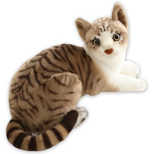 QYEHF Katze Plüschtier,Katze Kuscheltier,Lanhua Katzenpuppe,Katze Puppe Gefüllte Lebensechte Katze Plüschtier Spielzeug Für Heimdekoration, Fotografie-Requisiten,25CM von QYEHF