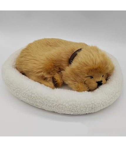 QYMDRION Schlafendes Hundespielzeug, Plüschtiere, Dekorationen und Spielzeug, 17 x 14 cm, für Zuhause, Büro, Schlafzimmer, Ornament von QYMDRION