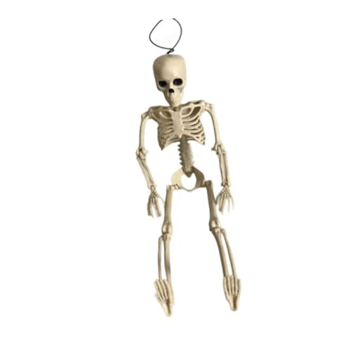Halloween Vollkörper Skelett mit flexiblen Gelenken Robust Gruselige lebensgroße Friedhofsparty Skelett Lebensgroß Halloween Dekoration Halloween Vollkörper Skelett mit flexiblen Gelenken Robust Gruselige lebensgroße Friedhofsparty Skelett Lebensgroß Halloween Dekoration von Qcbuegof