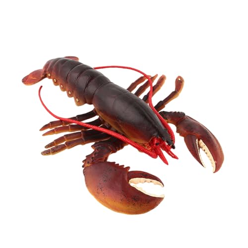 Qcbuegof Lifelikes Soft Robuste PVC Materialien Hummerspielzeug Für Kinder Bildungsspiel Und Meeresfrüchte Restaurant Dekoration Bildungsschuh Hummerspielzeug von Qcbuegof