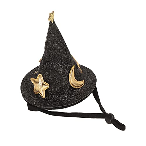 Qcwwy Hamster Hat, Mini Small Tier Hat Lizard Halloween Witch mit Verstellbarem Gürtel für Bärtigen Drachen -Meerschweinchen Igel Chinchilla Ferret, Premium-Material, Best Pet (BLACK) von Qcwwy