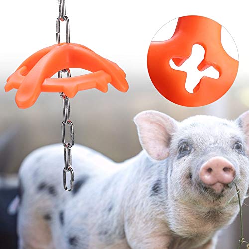 Qcwwy Langlebige Hochfestigkeits -Kunststoff -Lebensmittelspielspielzeug, das Kauenspielzeug für Nutztiere, das Beißen, Ideal für Ferkel, Farbe: Wie Bilder Gezeigt Qcwwy Langlebige Hochfestigkeits -Kunststoff -Lebensmittelspielspielzeug, das Kauenspielzeug für Nutztiere, das Beißen, Ideal für Ferkel, Farbe: Wie Bilder Gezeigt von Qcwwy