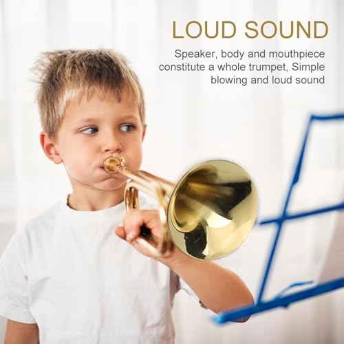 Qcwwy Lauter Sound Trompete Messing Trompete 20.5in Lauter Sound Exquisites Handwerkskunst Musikinstrument Einfaches Blowing -Schüler Instrument für Schulbänder Orchestern Auftritte Qcwwy Lauter Sound Trompete Messing Trompete 20.5in Lauter Sound Exquisites Handwerkskunst Musikinstrument Einfaches Blowing -Schüler Instrument für Schulbänder Orchestern Auftritte von Qcwwy