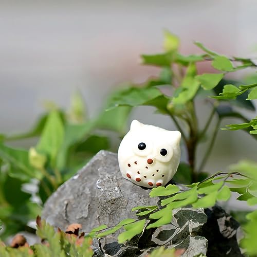 Qcwwy Mini -Eulen -Statue, Niedliche und Lebendige Eulendekor, Premium Material, Vielseitiges , Ideal (#1) von Qcwwy