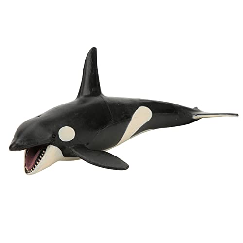 Qcwwy Modell der Ballena Asesina Desktop Dekoration Bildungsspielzeug für und Lehrer Plastik 19x10x7.5 cm von Qcwwy