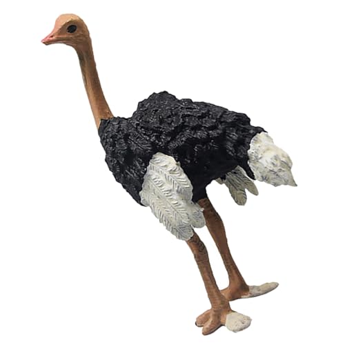 Qcwwy Realistische Strauß-Figur, Exquisites Kunsthandwerk, Simulierte Strauß-Wildtier-Tierfigur, Pädagogisches Lernen für Zuhause Qcwwy Realistische Strauß-Figur, Exquisites Kunsthandwerk, Simulierte Strauß-Wildtier-Tierfigur, Pädagogisches Lernen für Zuhause von Qcwwy