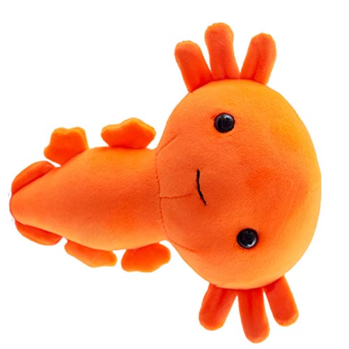 Qcwwy Schöne Cartoonpop Plüsch Sanft Elastisch Gefüllte Spielzeuge für Kinderkodekoration, PP Baumwolle für Gefüllt | Material: PP Baumwolle, Größe: 20 X 17 cm (ORANGE) von Qcwwy