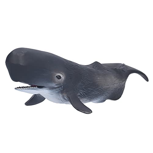 Qcwwy Sehr Simulation von Walen des Modells Figurer Bildungsleder Zum Geburtstagstag: Eine Figur von Meerestieren, EIN Modell von Meerestieren von Qcwwy