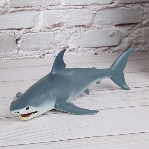 Qcwwy Spielzeug des Erforderlichen Meeresfischmodells für, Werkzeuge für Simulation und Lernen Sehr Dekorationen, 17 X 11 X 6 cm Kunststoff, Geeignet für die Dekoration und Schulprojekte für von Qcwwy