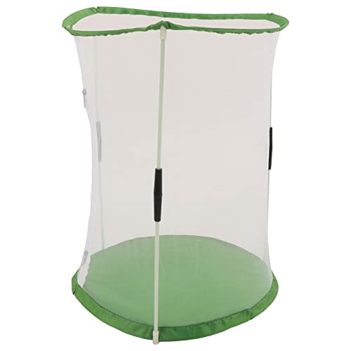 Qcwwy Zylindrische Halterung Insektenbeobachtung Käfig Langlebiges Transparentes Netzkit mit Tragbarem Griff für Schmetterlinge und Zierpflanzen für Bildungszwecke Polyester -Mesh weiß mit Grün mit Qcwwy Zylindrische Halterung Insektenbeobachtung Käfig Langlebiges Transparentes Netzkit mit Tragbarem Griff für Schmetterlinge und Zierpflanzen für Bildungszwecke Polyester -Mesh weiß mit Grün mit von Qcwwy