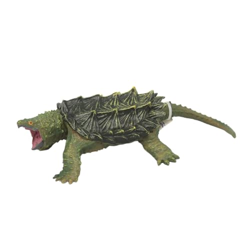 Qectial Schildkrötenmodell Süßwasserschildkröte Figur Sammlung Schildkrötenfigur Tierfigur Qectial Schildkrötenmodell Süßwasserschildkröte Figur Sammlung Schildkrötenfigur Tierfigur von Qectial