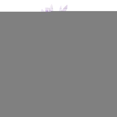 Qfdiwr Hexenbesen Für Kinder, Halloween Dekoration Besen, Spielzeug Deko Für Garten Kostüme Cosplay Bühnenauftritte Gruselhaus Halloween Partys Qfdiwr Hexenbesen Für Kinder, Halloween Dekoration Besen, Spielzeug Deko Für Garten Kostüme Cosplay Bühnenauftritte Gruselhaus Halloween Partys von Qfdiwr
