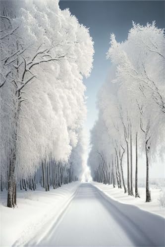Klassische Puzzles, Puzzle für Erwachsene 1000 Teile, Winter Snowy Landscape Farbenfrohes Puzzle für Erwachsene und Kinder 75 x 50 cm Puzzlespiele Geschenke für Frauen, Geschenke für Männer von QiHon