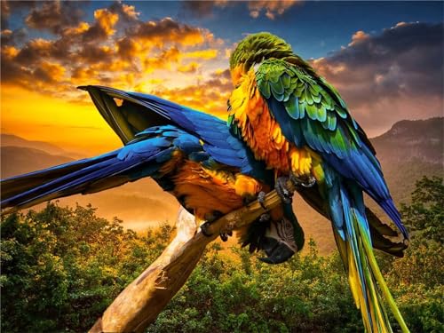 Puzzle 1314 Teile Erwachsene Tier Papagei 75 x 50 cm Puzzles für Erwachsene Pädagogisches Spiel Herausforderung Spielzeug Impossible Puzzle 1314 Teile Puzzles Puzzle 1314 Teile Erwachsene Tier Papagei 75 x 50 cm Puzzles für Erwachsene Pädagogisches Spiel Herausforderung Spielzeug Impossible Puzzle 1314 Teile Puzzles von QiHon