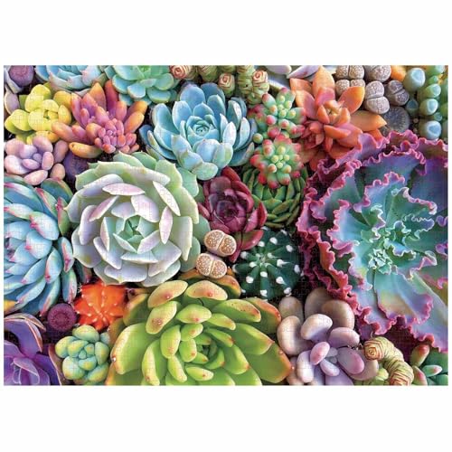 Puzzle 1500 Teile Sukkulenten 87 x 57 cm Puzzles für Erwachsene Herausforderndes Rätsel Lernspiel für Die Ganze Familie Geschenke für Frauen Männer 1500 Teile Puzzle von QiHon