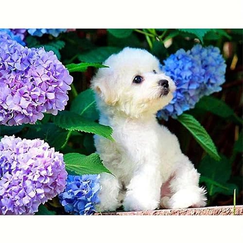 Puzzle 200 Teile Hortensie Tier Hund, Puzzle Erwachsene 35 x 25 cm, Herausforderndes Rätsel, Puzzlespiele für Die Ganze Familie, Klassische Puzzles für Erwachsene 200 Teile Puzzle 200 Teile Hortensie Tier Hund, Puzzle Erwachsene 35 x 25 cm, Herausforderndes Rätsel, Puzzlespiele für Die Ganze Familie, Klassische Puzzles für Erwachsene 200 Teile von QiHon