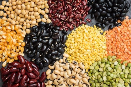 Puzzle 300 Teile Essen 38 x 26 cm Puzzles für Erwachsene Herausforderndes Rätsel Lernspiel für Die Ganze Familie Geschenke für Frauen Männer 300 Teile Puzzle von QiHon