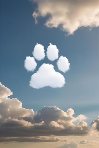 Puzzle 300 Teile Weiße Wolken Pfoten 38 x 26 cm Puzzles für Erwachsene Herausforderndes Rätsel Lernspiel für Die Ganze Familie Geschenke für Frauen Männer 300 Teile Puzzle von QiHon