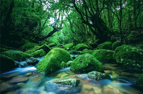 Puzzle 500 Teile Landschaft Fluss 52 x 38 cm Puzzles für Erwachsene Herausforderndes Rätsel Lernspiel für Die Ganze Familie Geschenke für Frauen Männer 500 Teile Puzzle von QiHon