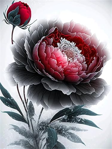 Puzzle 500 Teile Schwarze rote Pfingstrose, Puzzle Erwachsene 52 x 38 cm, Herausforderndes Rätsel, Puzzlespiele für Die Ganze Familie, Klassische Puzzles für Erwachsene 500 Teile von QiHon