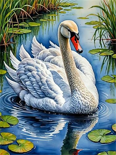 Puzzle 500 Teile Tier Schwan, Puzzle Erwachsene 52 x 38 cm, Herausforderndes Rätsel, Puzzlespiele für Die Ganze Familie, Klassische Puzzles für Erwachsene 500 Teile Puzzle 500 Teile Tier Schwan, Puzzle Erwachsene 52 x 38 cm, Herausforderndes Rätsel, Puzzlespiele für Die Ganze Familie, Klassische Puzzles für Erwachsene 500 Teile von QiHon
