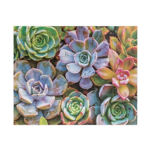 Puzzle 700 Teile Sukkulenten 52 x 38 cm Puzzles für Erwachsene Herausforderndes Rätsel Lernspiel für Die Ganze Familie Geschenke für Frauen Männer 700 Teile Puzzle Puzzle 700 Teile Sukkulenten 52 x 38 cm Puzzles für Erwachsene Herausforderndes Rätsel Lernspiel für Die Ganze Familie Geschenke für Frauen Männer 700 Teile Puzzle von QiHon