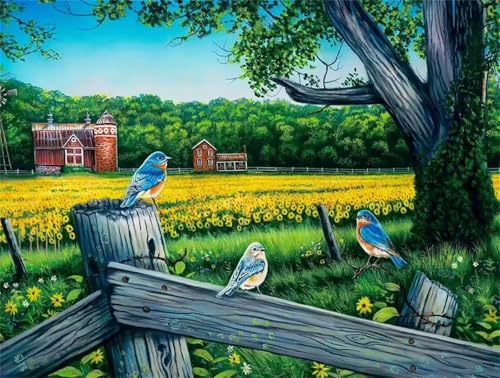 Puzzle für Erwachsene 1000 Teile Sonnenblumenlandschaft, 75 x 50 cm Puzzles für Erwachsene Pädagogisches Spiel Herausforderung Spielzeug 1000 Teile, Puzzle Erwachsene Anspruchsvoll Puzzle für Erwachsene 1000 Teile Sonnenblumenlandschaft, 75 x 50 cm Puzzles für Erwachsene Pädagogisches Spiel Herausforderung Spielzeug 1000 Teile, Puzzle Erwachsene Anspruchsvoll von QiHon