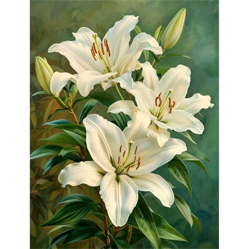 Puzzle für Erwachsene 120 Teile Weiße Lilienblüten, 25 x 20 cm Puzzles für Erwachsene Pädagogisches Spiel Herausforderung Spielzeug 120 Teile, Puzzle Erwachsene Anspruchsvoll Puzzle für Erwachsene 120 Teile Weiße Lilienblüten, 25 x 20 cm Puzzles für Erwachsene Pädagogisches Spiel Herausforderung Spielzeug 120 Teile, Puzzle Erwachsene Anspruchsvoll von QiHon