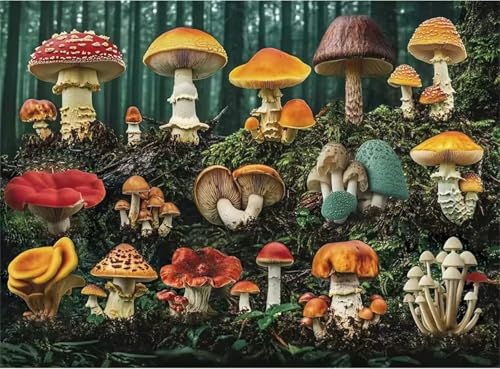 Puzzle für Erwachsene 1200 Teile Pilzdschungel, 75 x 50 cm Puzzles für Erwachsene Pädagogisches Spiel Herausforderung Spielzeug 1200 Teile, Puzzle Erwachsene Anspruchsvoll von QiHon