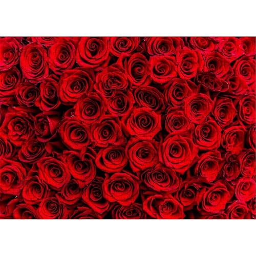 Puzzle für Erwachsene 200 Teile Dunkelrote Rosen, 35 x 25 cm Puzzles für Erwachsene Pädagogisches Spiel Herausforderung Spielzeug 200 Teile, Puzzle Erwachsene Anspruchsvoll Puzzle für Erwachsene 200 Teile Dunkelrote Rosen, 35 x 25 cm Puzzles für Erwachsene Pädagogisches Spiel Herausforderung Spielzeug 200 Teile, Puzzle Erwachsene Anspruchsvoll von QiHon