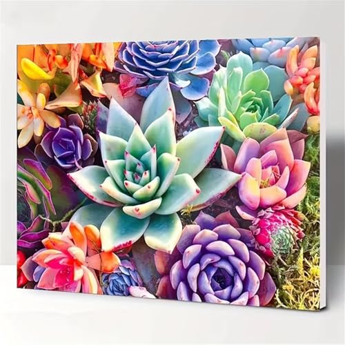 Puzzle für Erwachsene 2000 Teile Sukkulenten, 100 x 70 cm Puzzles für Erwachsene Pädagogisches Spiel Herausforderung Spielzeug 2000 Teile, Puzzle Erwachsene Anspruchsvoll von QiHon