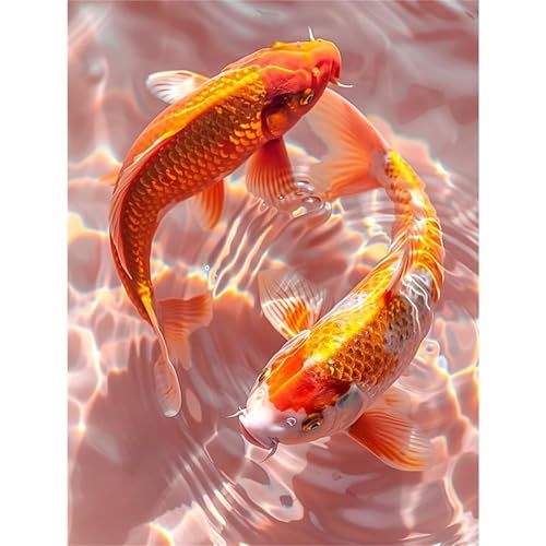 Puzzle für Erwachsene 2000 Teile Tier Koi, 100 x 70 cm Puzzles für Erwachsene Pädagogisches Spiel Herausforderung Spielzeug 2000 Teile, Puzzle Erwachsene Anspruchsvoll Puzzle für Erwachsene 2000 Teile Tier Koi, 100 x 70 cm Puzzles für Erwachsene Pädagogisches Spiel Herausforderung Spielzeug 2000 Teile, Puzzle Erwachsene Anspruchsvoll von QiHon