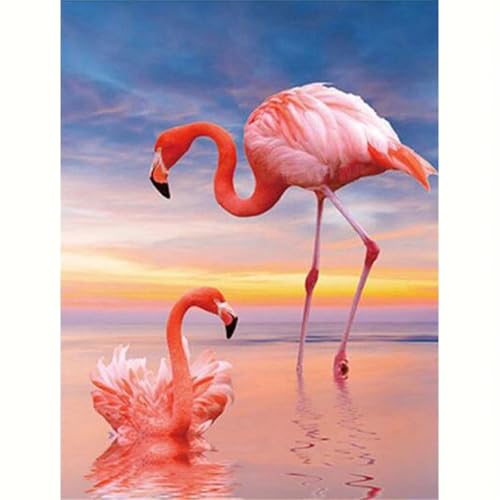 Puzzle für Erwachsene 2000 Teile Tierflamingo, 100 x 70 cm Puzzles für Erwachsene Pädagogisches Spiel Herausforderung Spielzeug 2000 Teile, Puzzle Erwachsene Anspruchsvoll von QiHon