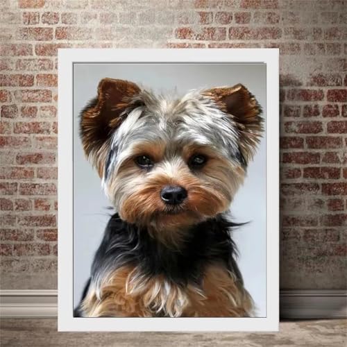 Puzzle für Erwachsene 2000 Teile Tierhunde, 100 x 70 cm Puzzles für Erwachsene Pädagogisches Spiel Herausforderung Spielzeug 2000 Teile, Puzzle Erwachsene Anspruchsvoll Puzzle für Erwachsene 2000 Teile Tierhunde, 100 x 70 cm Puzzles für Erwachsene Pädagogisches Spiel Herausforderung Spielzeug 2000 Teile, Puzzle Erwachsene Anspruchsvoll von QiHon
