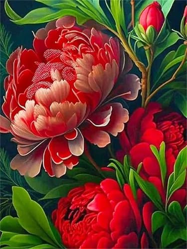 Puzzle für Erwachsene 300 Teile Rote Pfingstrose, 40 x 28 cm Puzzles für Erwachsene Pädagogisches Spiel Herausforderung Spielzeug 300 Teile, Puzzle Erwachsene Anspruchsvoll Puzzle für Erwachsene 300 Teile Rote Pfingstrose, 40 x 28 cm Puzzles für Erwachsene Pädagogisches Spiel Herausforderung Spielzeug 300 Teile, Puzzle Erwachsene Anspruchsvoll von QiHon