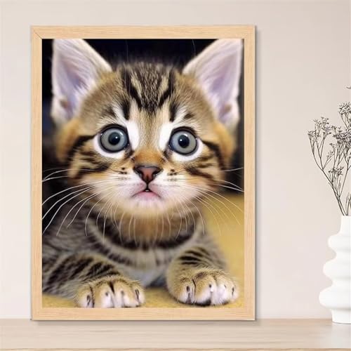 Puzzle für Erwachsene 300 Teile Tier Katze, 38 x 26 cm Puzzles für Erwachsene Pädagogisches Spiel Herausforderung Spielzeug 300 Teile, Puzzle Erwachsene Anspruchsvoll Puzzle für Erwachsene 300 Teile Tier Katze, 38 x 26 cm Puzzles für Erwachsene Pädagogisches Spiel Herausforderung Spielzeug 300 Teile, Puzzle Erwachsene Anspruchsvoll von QiHon