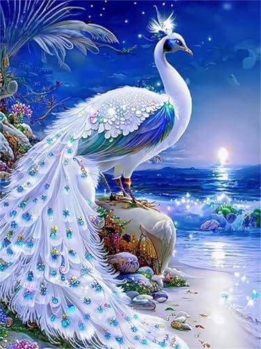 Puzzle für Erwachsene 300 Teile Tier Pfau Strand, 38 x 26 cm Puzzles für Erwachsene Pädagogisches Spiel Herausforderung Spielzeug 300 Teile, Puzzle Erwachsene Anspruchsvoll Puzzle für Erwachsene 300 Teile Tier Pfau Strand, 38 x 26 cm Puzzles für Erwachsene Pädagogisches Spiel Herausforderung Spielzeug 300 Teile, Puzzle Erwachsene Anspruchsvoll von QiHon