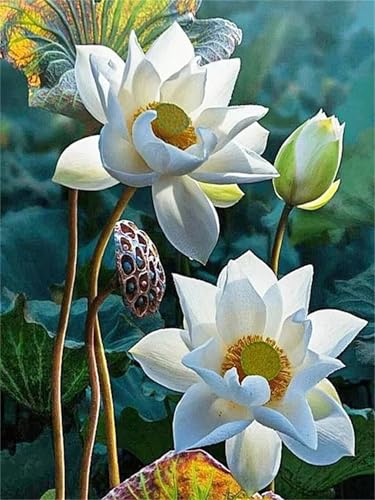 Puzzle für Erwachsene 300 Teile Weiße Lotusblume, 40 x 28 cm Puzzles für Erwachsene Pädagogisches Spiel Herausforderung Spielzeug 300 Teile, Puzzle Erwachsene Anspruchsvoll Puzzle für Erwachsene 300 Teile Weiße Lotusblume, 40 x 28 cm Puzzles für Erwachsene Pädagogisches Spiel Herausforderung Spielzeug 300 Teile, Puzzle Erwachsene Anspruchsvoll von QiHon