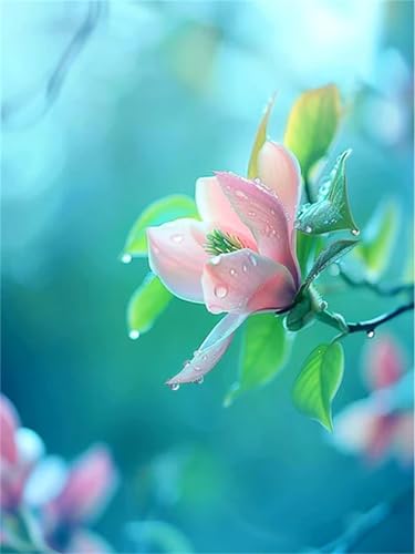 Puzzle für Erwachsene 500 Teile Blume Rosa, 52 x 38 cm Puzzles für Erwachsene Pädagogisches Spiel Herausforderung Spielzeug 500 Teile, Puzzle Erwachsene Anspruchsvoll Puzzle für Erwachsene 500 Teile Blume Rosa, 52 x 38 cm Puzzles für Erwachsene Pädagogisches Spiel Herausforderung Spielzeug 500 Teile, Puzzle Erwachsene Anspruchsvoll von QiHon