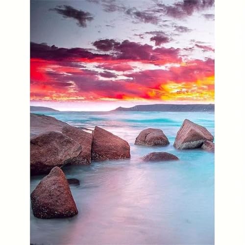 Puzzle für Erwachsene 500 Teile Ozeanriff, 52 x 38 cm Puzzles für Erwachsene Pädagogisches Spiel Herausforderung Spielzeug 500 Teile, Puzzle Erwachsene Anspruchsvoll Puzzle für Erwachsene 500 Teile Ozeanriff, 52 x 38 cm Puzzles für Erwachsene Pädagogisches Spiel Herausforderung Spielzeug 500 Teile, Puzzle Erwachsene Anspruchsvoll von QiHon