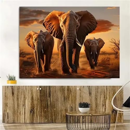 Puzzle für Erwachsene 500 Teile Tier Elefant, 52 x 38 cm Puzzles für Erwachsene Pädagogisches Spiel Herausforderung Spielzeug 500 Teile, Puzzle Erwachsene Anspruchsvoll Puzzle für Erwachsene 500 Teile Tier Elefant, 52 x 38 cm Puzzles für Erwachsene Pädagogisches Spiel Herausforderung Spielzeug 500 Teile, Puzzle Erwachsene Anspruchsvoll von QiHon