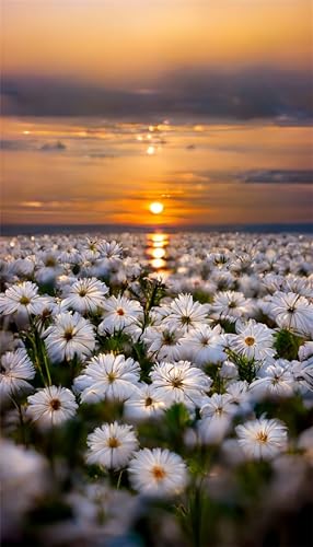 Puzzles für Erwachsene 120 Teile, Sunset White Daisies Artwork Puzzle 25 x 20 cm, Bunte DIY-Puzzles für Heimdekoration Familienpuzzle für Einsteiger und Kinder von QiHon
