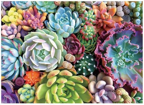 Puzzles für Erwachsene 1200 Teile, Sukkulenten Artwork Puzzle 75 x 50 cm, Bunte DIY-Puzzles für Heimdekoration Familienpuzzle für Einsteiger und Kinder von QiHon