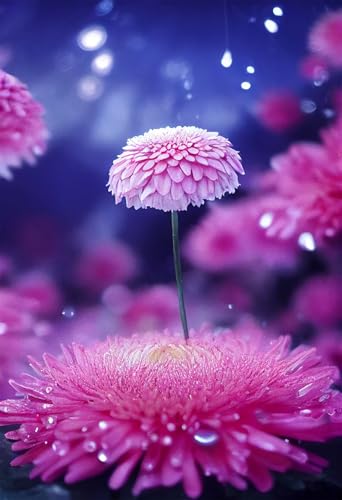 Puzzles für Erwachsene 300 Teile, Pink Daisy Flower Artwork Puzzle 40 x 28 cm, Bunte DIY-Puzzles für Heimdekoration Familienpuzzle für Einsteiger und Kinder von QiHon