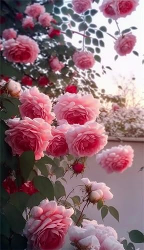 Puzzles für Erwachsene 700 Teile, Pink Moonflower Artwork Puzzle 52 x 38 cm, Bunte DIY-Puzzles für Heimdekoration Familienpuzzle für Einsteiger und Kinder von QiHon