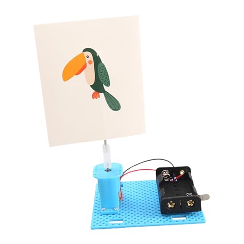Qianly Elektrischer Käfig Vogel DIY Wissenschaftsspielzeug, Das von Qianly