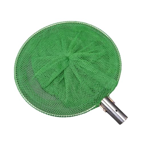 Qianly Kescher für Angeln, Edelstahlrahmen, Netz für Süßwasser, 20 cm Qianly Kescher für Angeln, Edelstahlrahmen, Netz für Süßwasser, 20 cm von Qianly